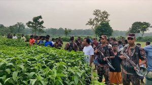 সীমান্তে থামছে না বিএসএফের পুশইনের চেষ্টা, রুখে দিচ্ছে বিজিবি